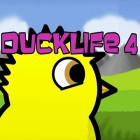 Ducklife 4